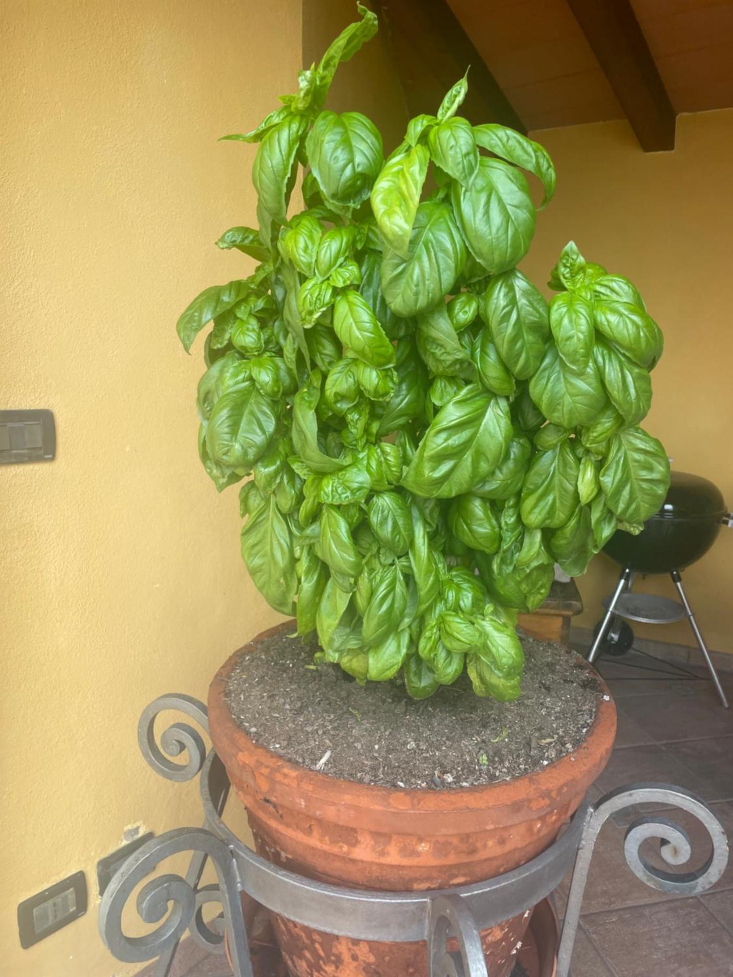 Un Piccolo Castello Medioevale Vicino 5 Terre Vila Giucano Exterior foto